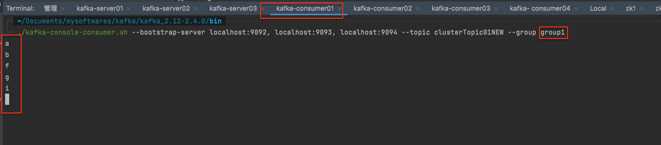 组间广播之消费者g1c1