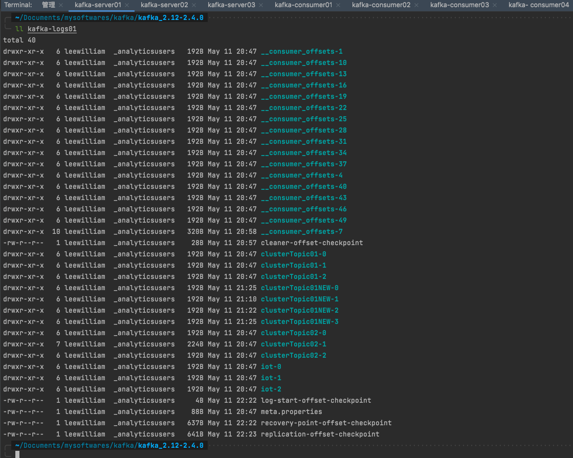 查看topic副本存储信息
