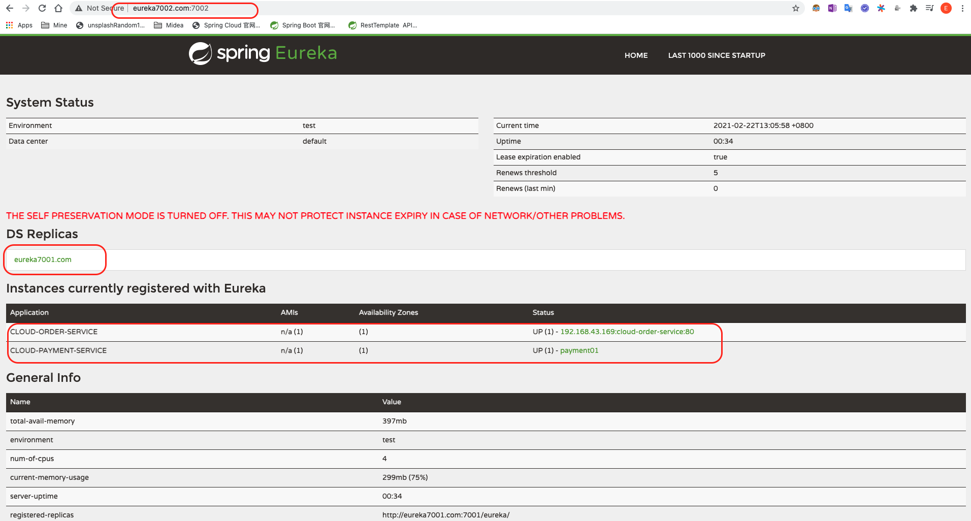 支付和订单服务注册进Eureka集群_节点2