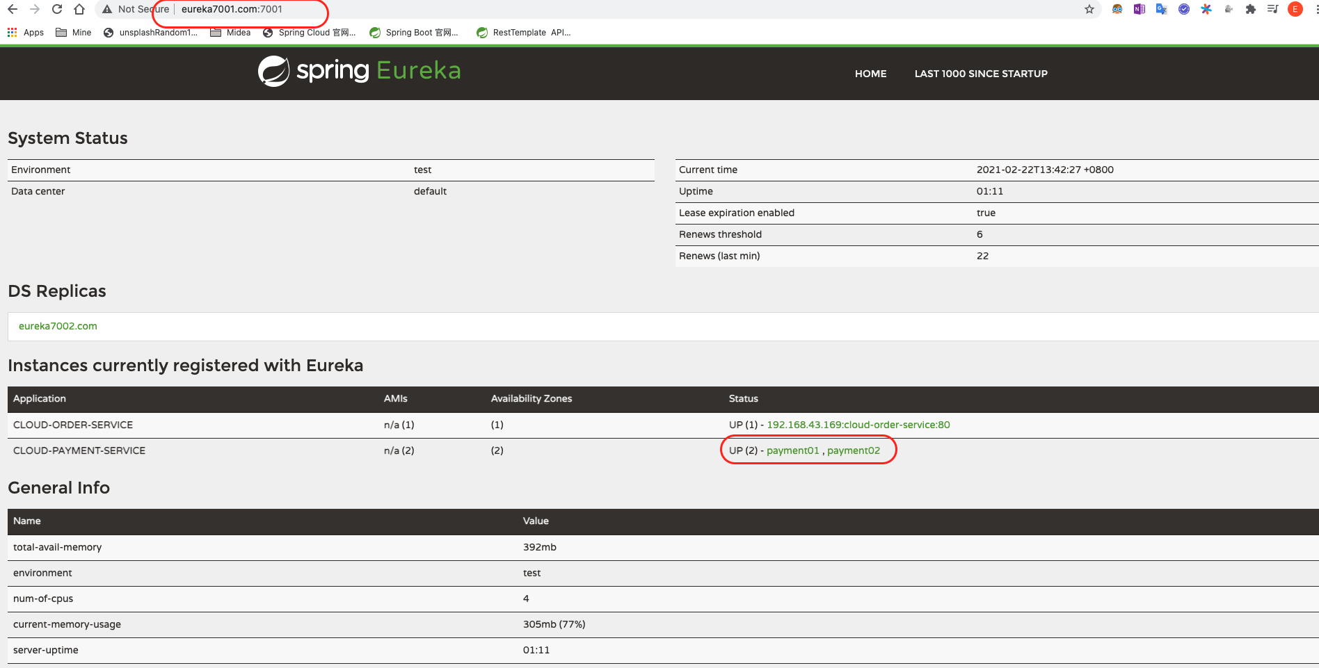 有两个支付模块的eureka_server集群_节点1