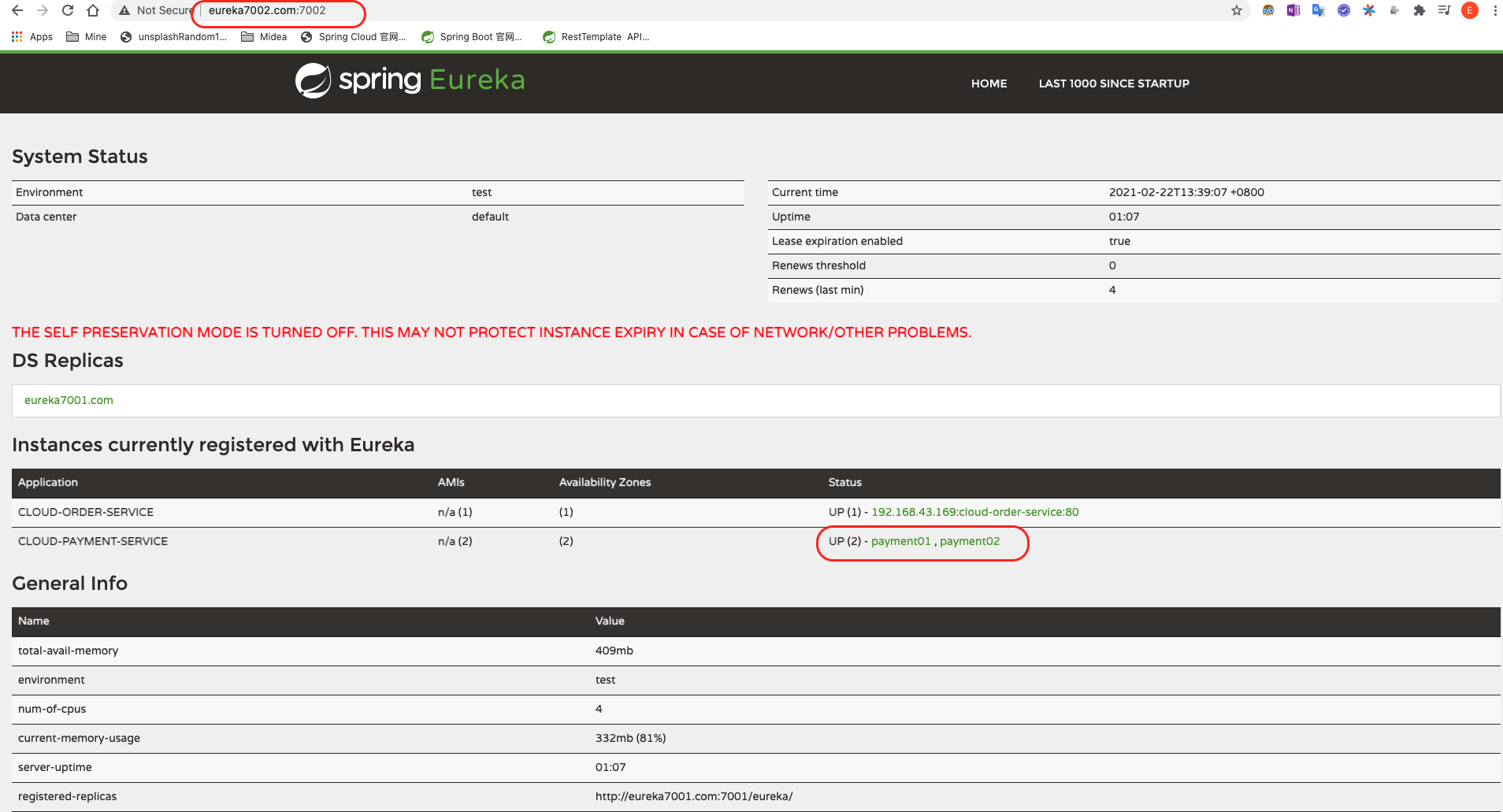 有两个支付模块的eureka_server集群_节点2