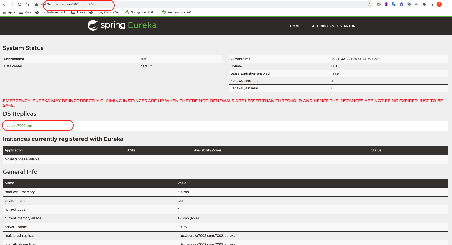 Eureka-Server集群节点1