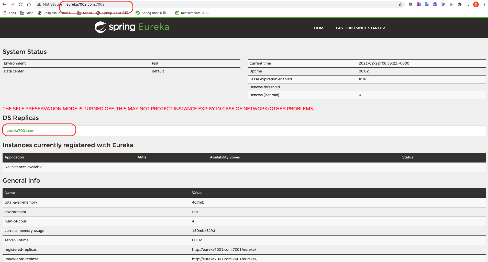 Eureka-Server集群节点2