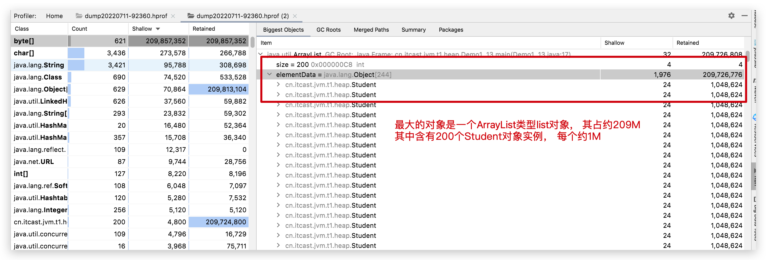 最大对象的具体组成查看