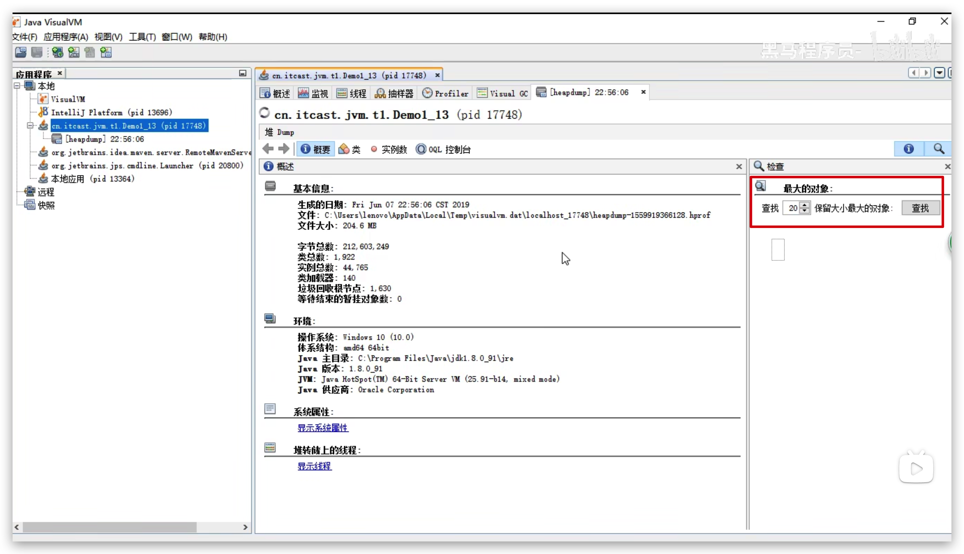 windows系统堆dump文件占用内存最大的对象-查找动作