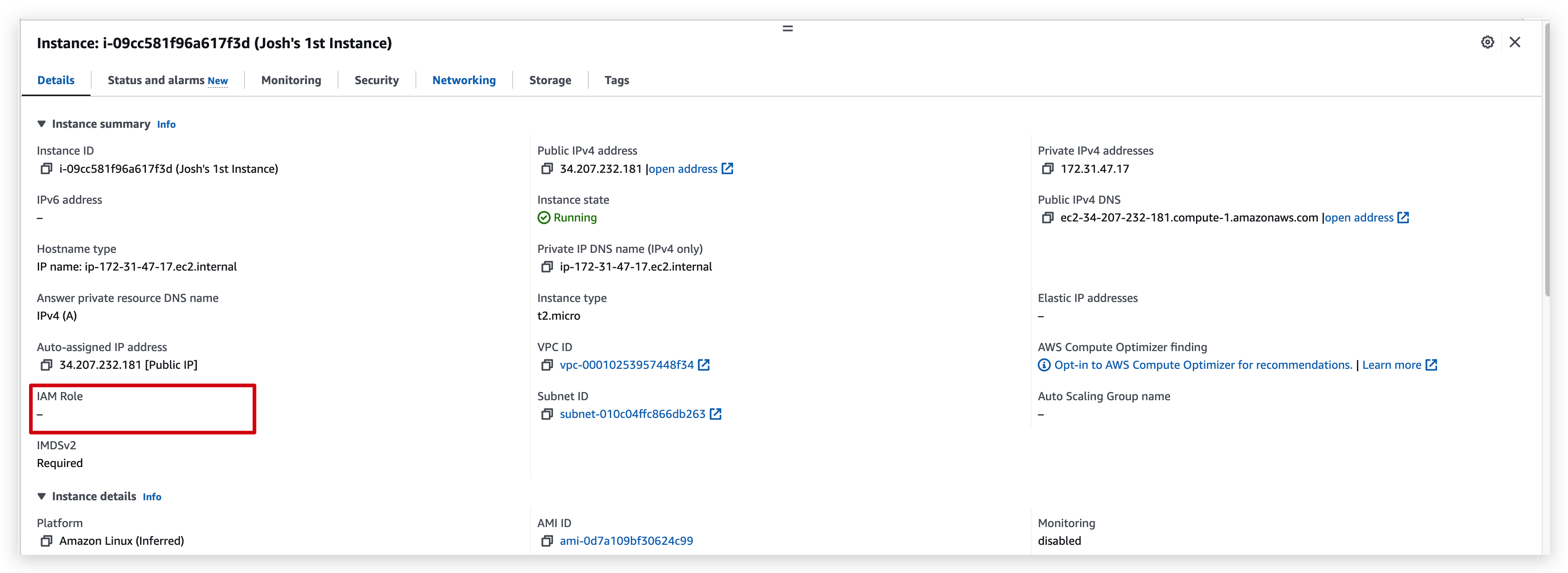 Check IAM role of instance before role assignment