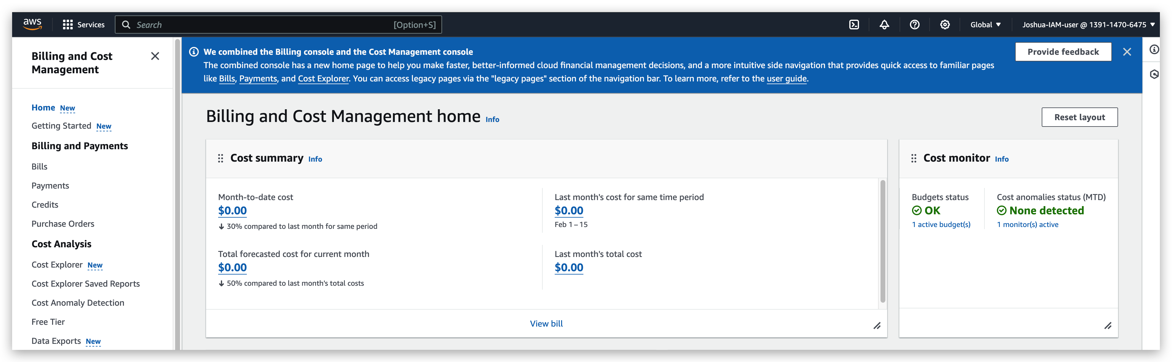 IAM user can see billing info after enabled by root account