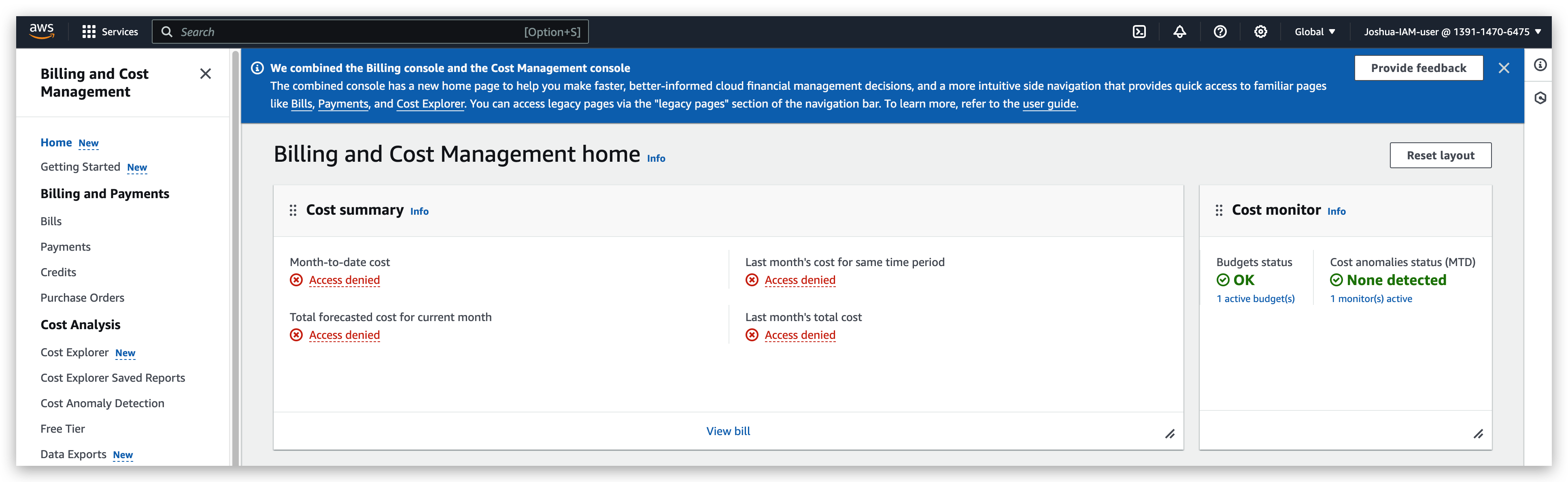 IAM user was not allowed to check billing info