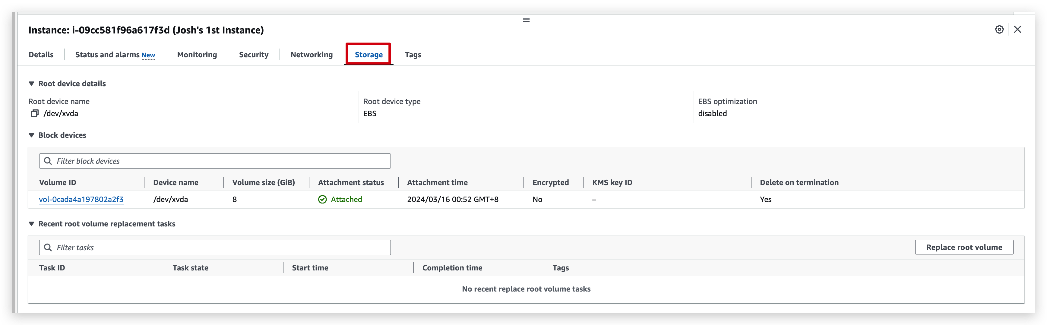 Instance Details-06-Storage