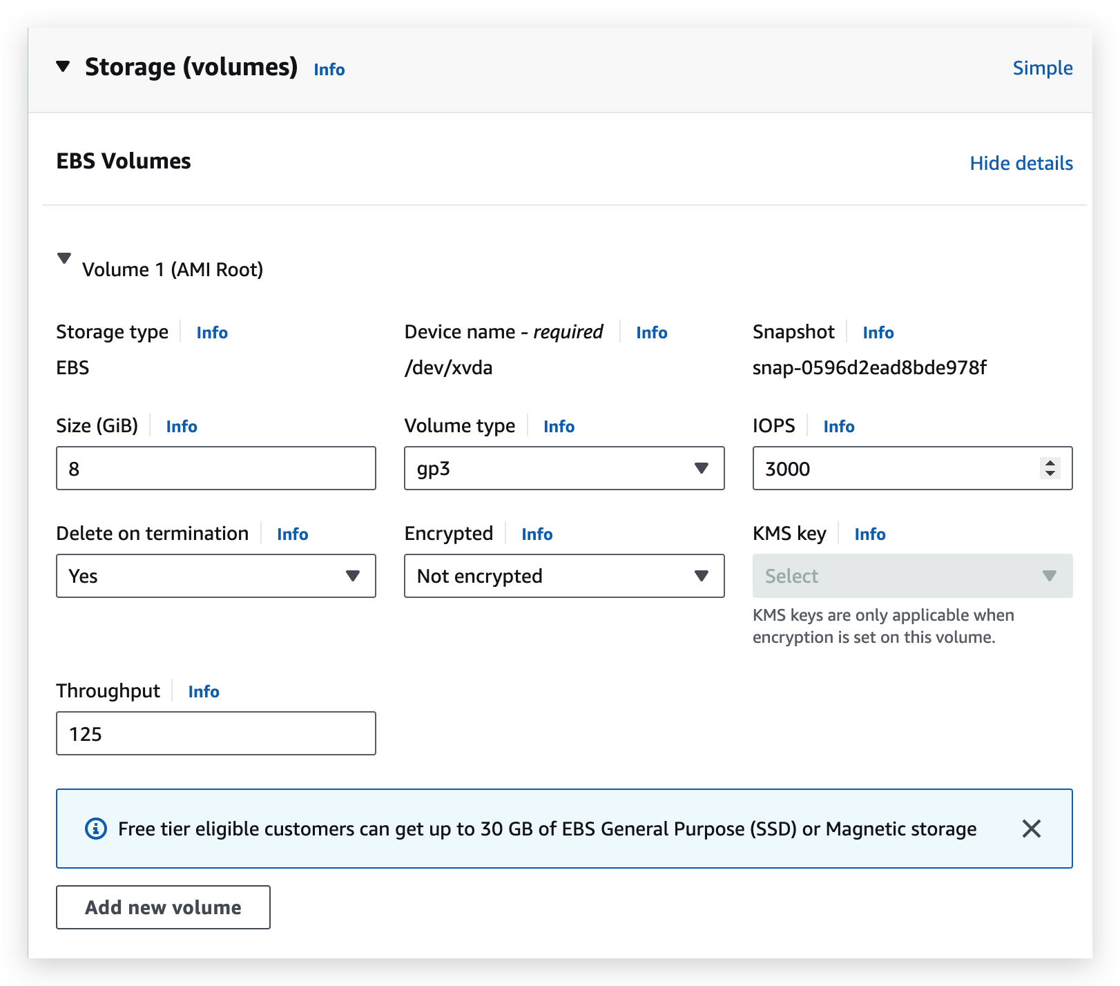 How advanced options look like when launching EBS EC2 instance